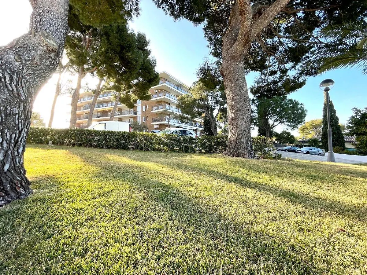 Synergie Si01 - Ideal Para Descansar Σαλού